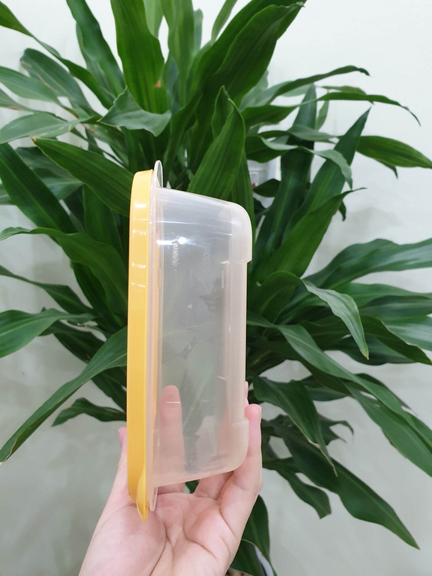 Sét 3 Hộp Bảo Quản Thực Phẩm 520ml EZLock