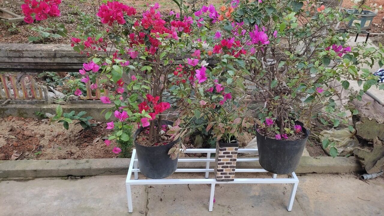 Kệ kê chậu hoa,cây cảnh,kê đồ