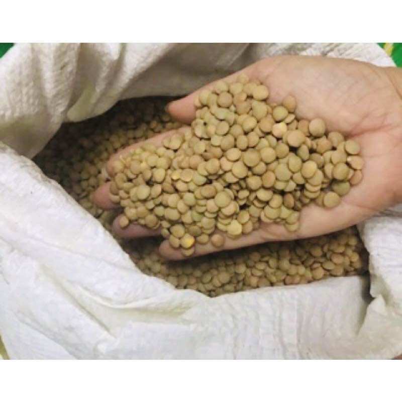 1kg Đậu lăng xanh hữu cơ Canada