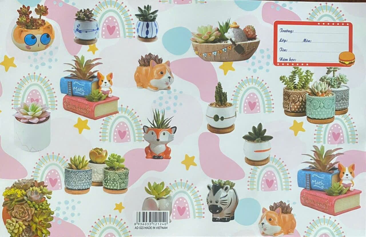 10 Cái  Bao   Tập   Vở  Hình    Có    Kiếng Bóng