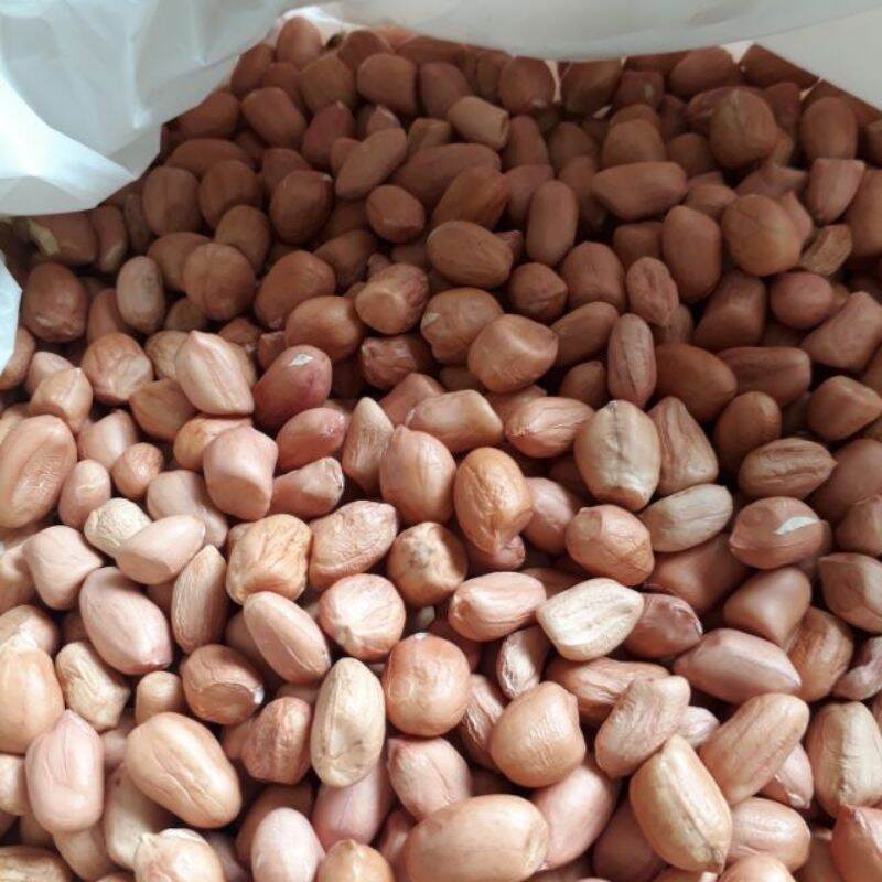 Lạc quê, lạc sống siêu ngon 1kg