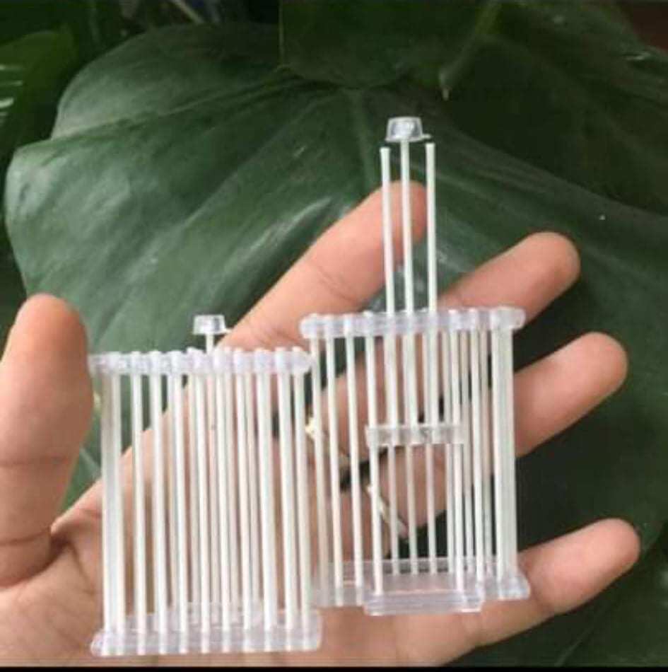 Rọ dế cho chim chào mào ,rọ dế chim khuyên,phụ kiện Huong107