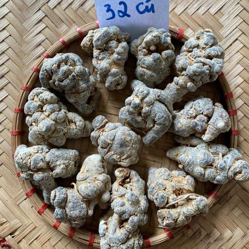 [CHÍNH HÃNG] Củ Tam Thất Bắc Khô ( Size Củ 50 /1kg To Lạc Khô Chuẩn )
