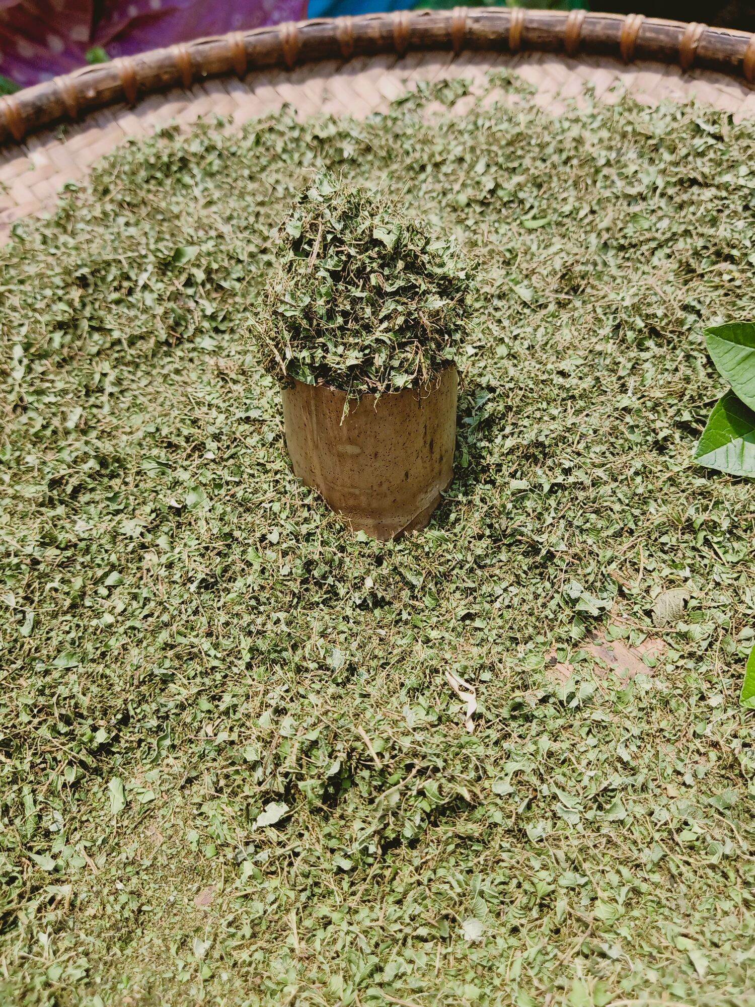 Bột lá ổi dùng pha trà, hỗ trợ giảm cân túi 500g