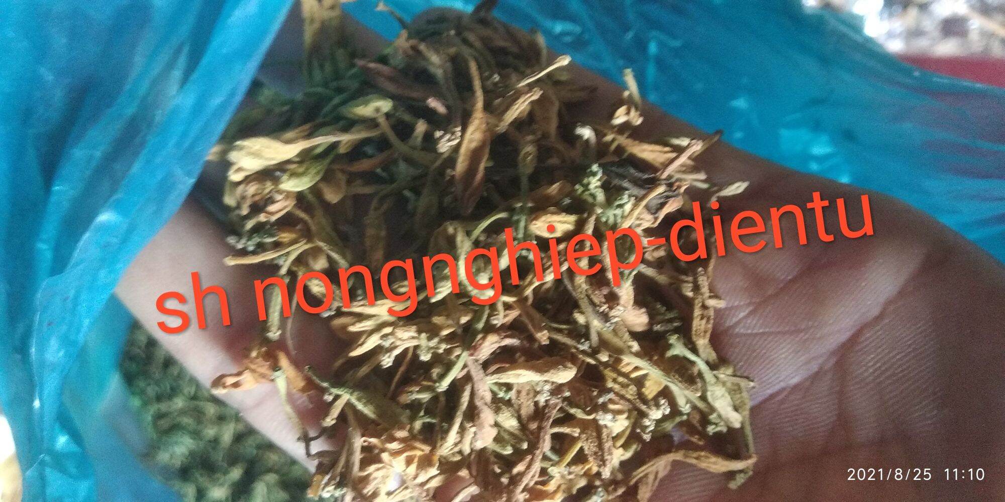 Hoa đu đủ khô Dried papaya flowers 1kg