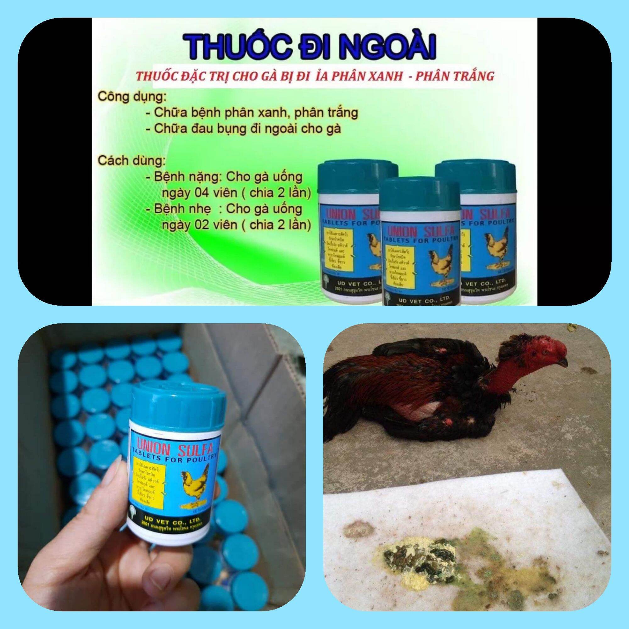 UNION SULFA ( 100 viên ) -đặ.c tr.ị phân xanh phân trắng , ổn định tiêu hóa cho gà đá