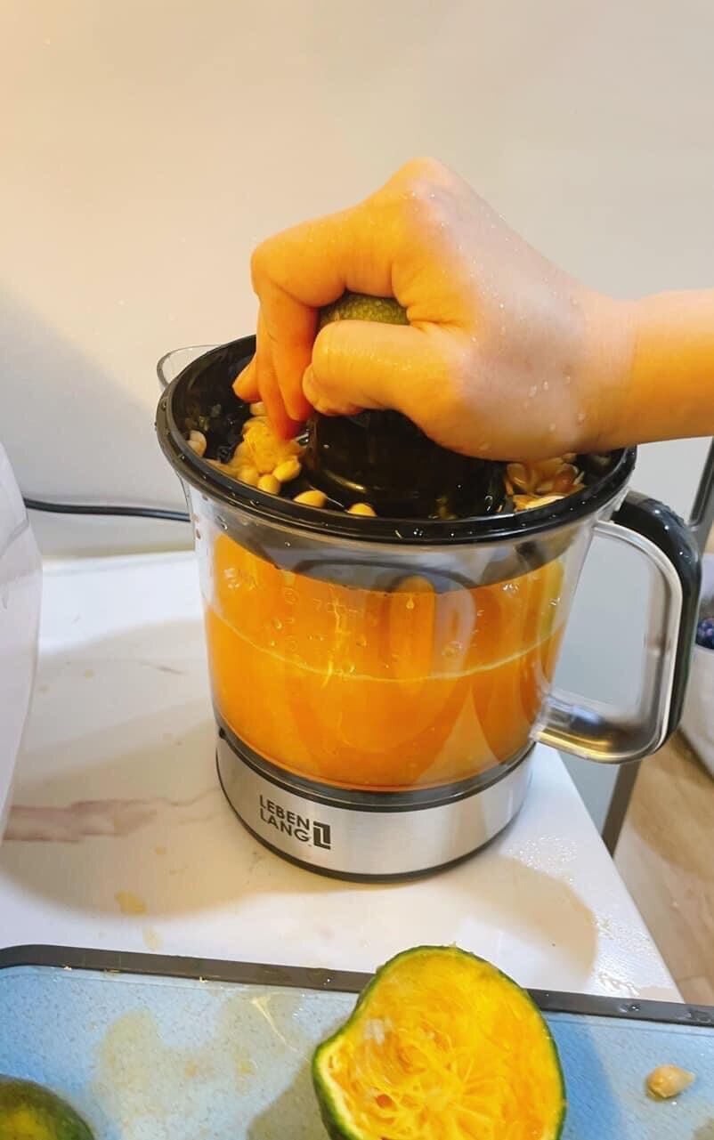 [SIÊU SALE] MÁY VẮT CAM TỰ ĐỘNG LEBEN LANG CỦA ĐỨC