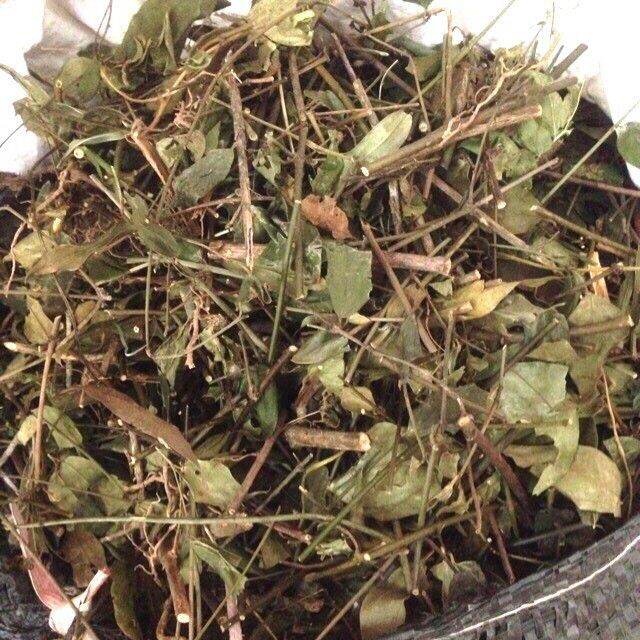 500gr cà gai leo hoà bình hỗ trợ về gan.