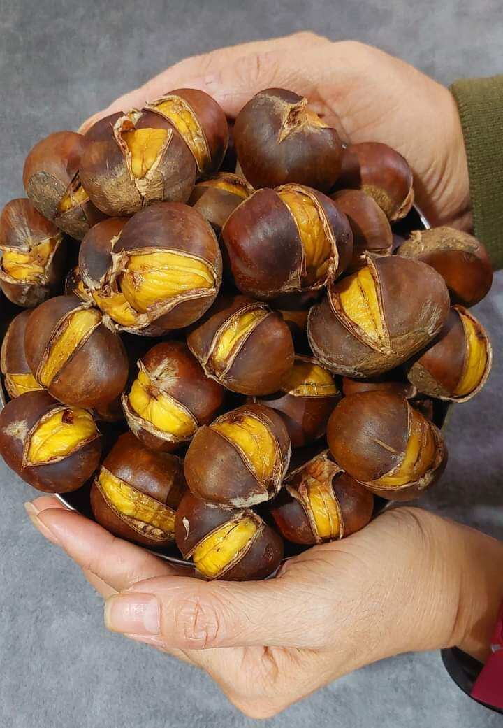 1ki HẠT DẺ TƯƠI [ loại 1 bở ,ngọt ]