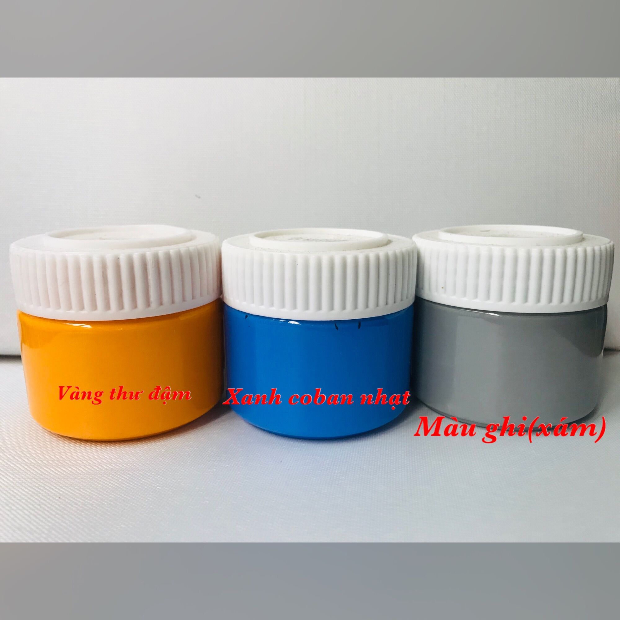 MÀU ACRYLIC 3D 100ML