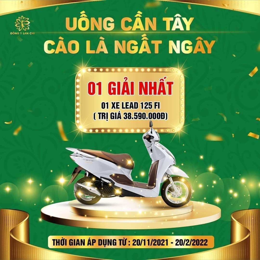 Cần tây Hồng sâm Lan chi