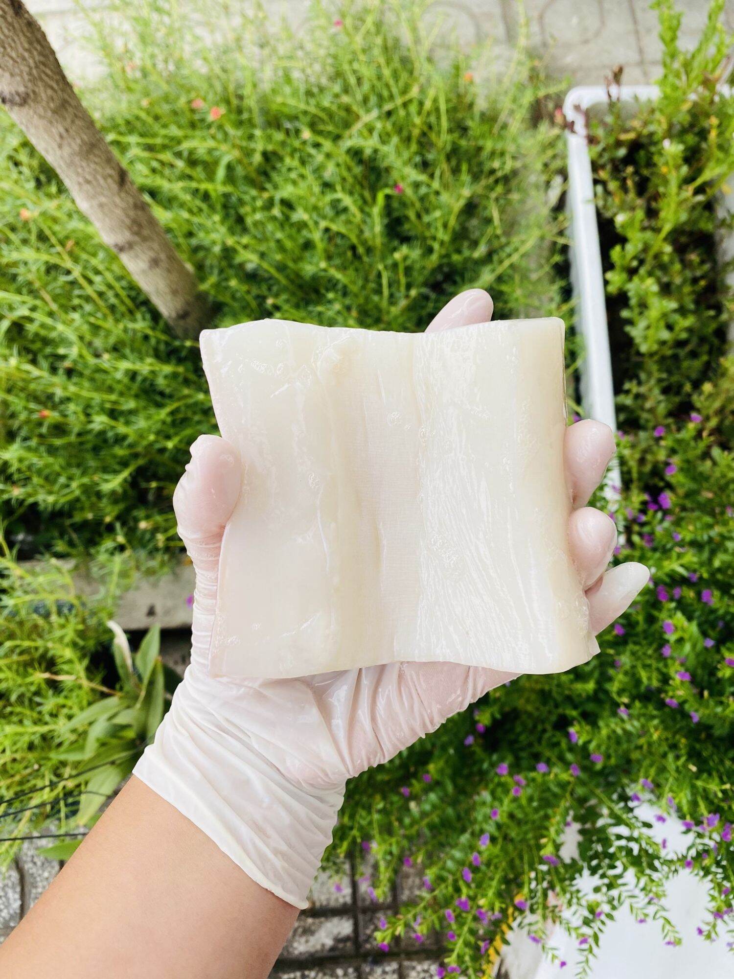 [GIAO NHANH 2H HCM] Mực Lá Đại Dương Cắt Lát sẵn