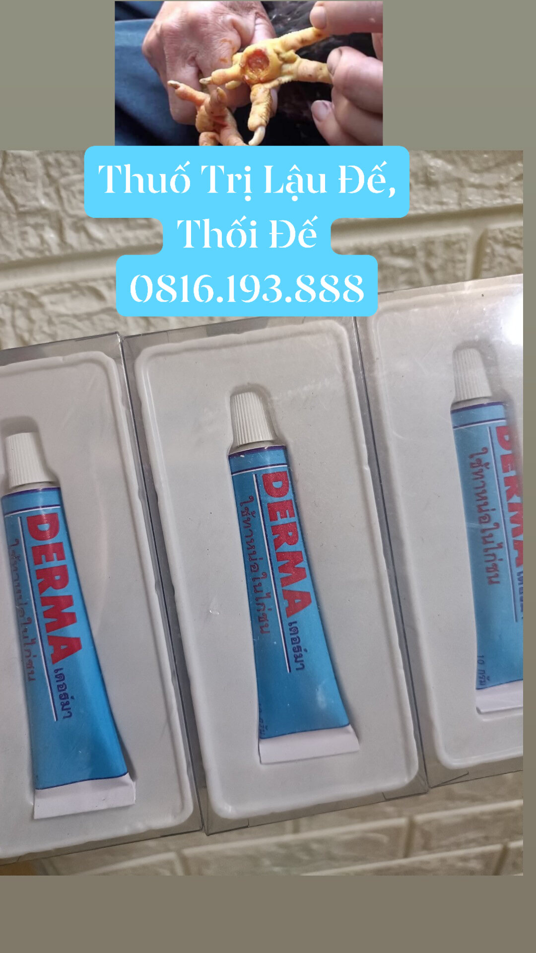 Thuoc lậu đế cho gà chọi chuẩn hàng thái
