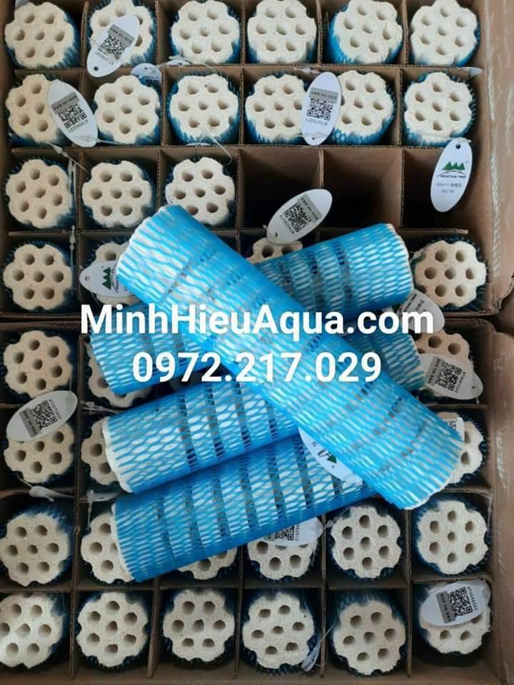 [HCM]Sứ củ sen Mountain Tree Root 3 16x4cm dành cho cá biển