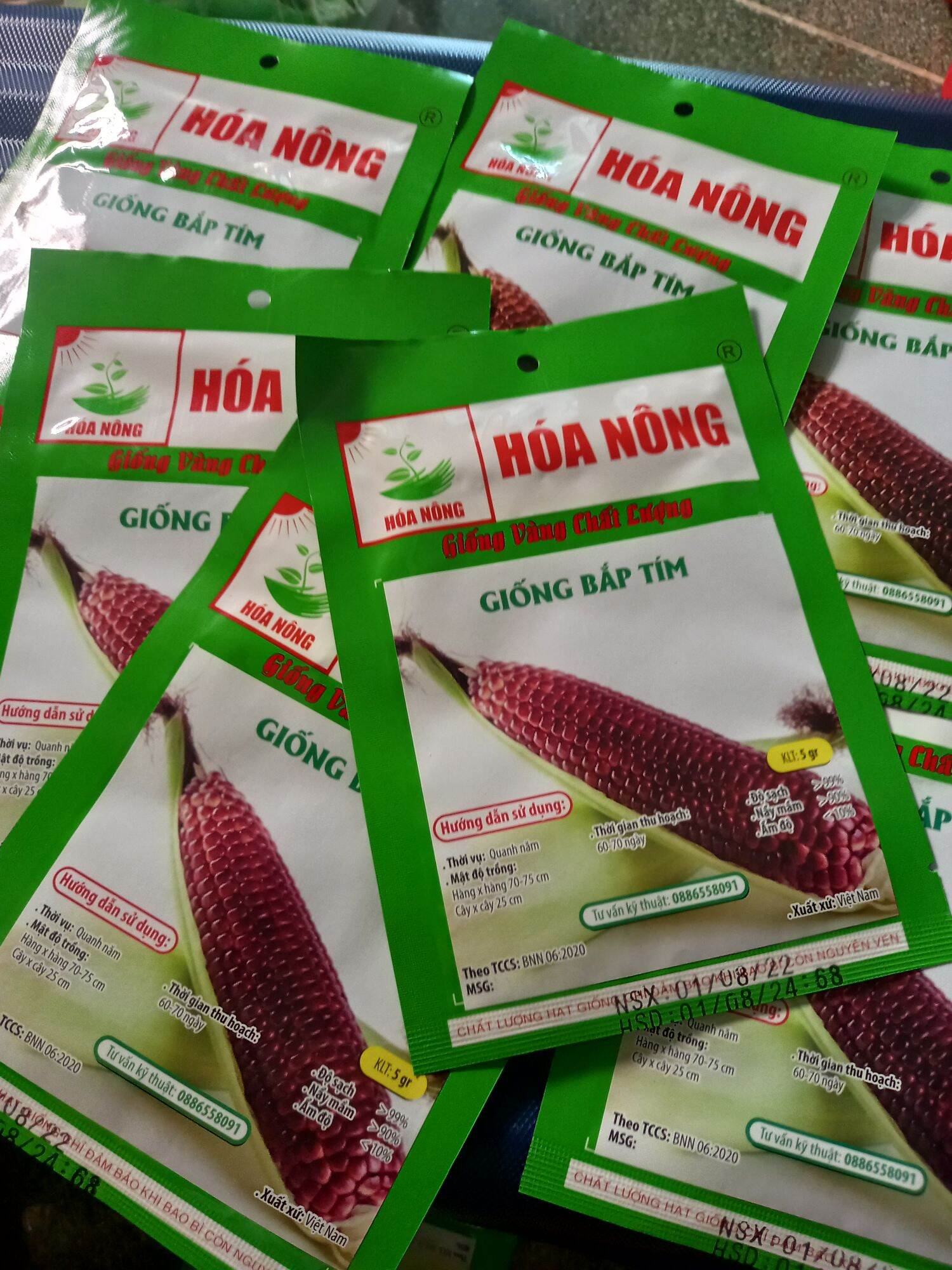 Hạt  bắp  nếp  tím dẻo