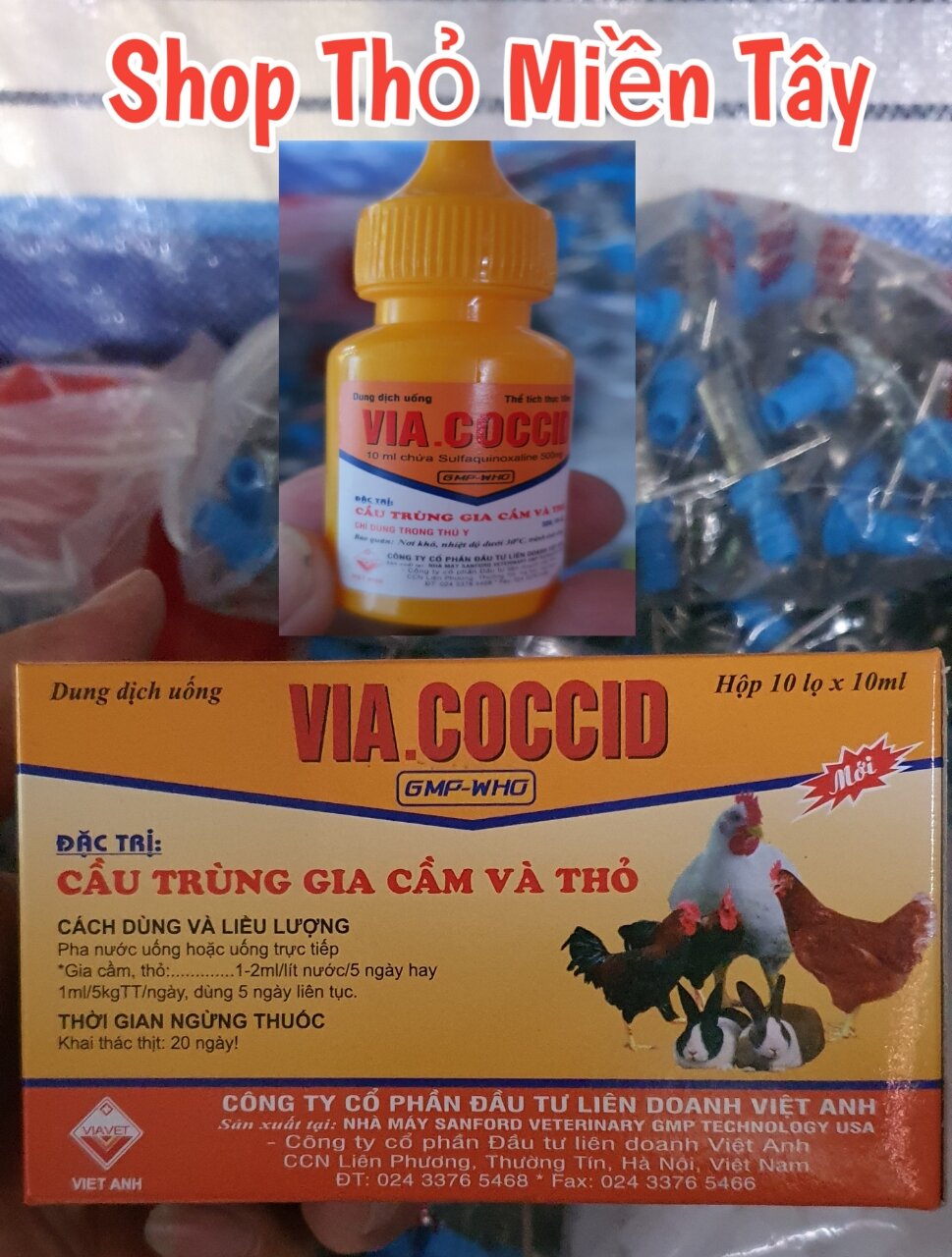 Compo Ecoli + Cầu Trùng cho Thỏ lọ 10ml