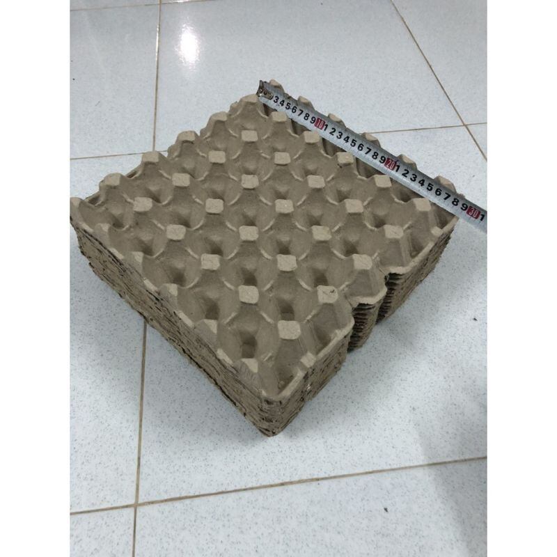 Combo 120 vĩ trứng gà đã qua sử dụng