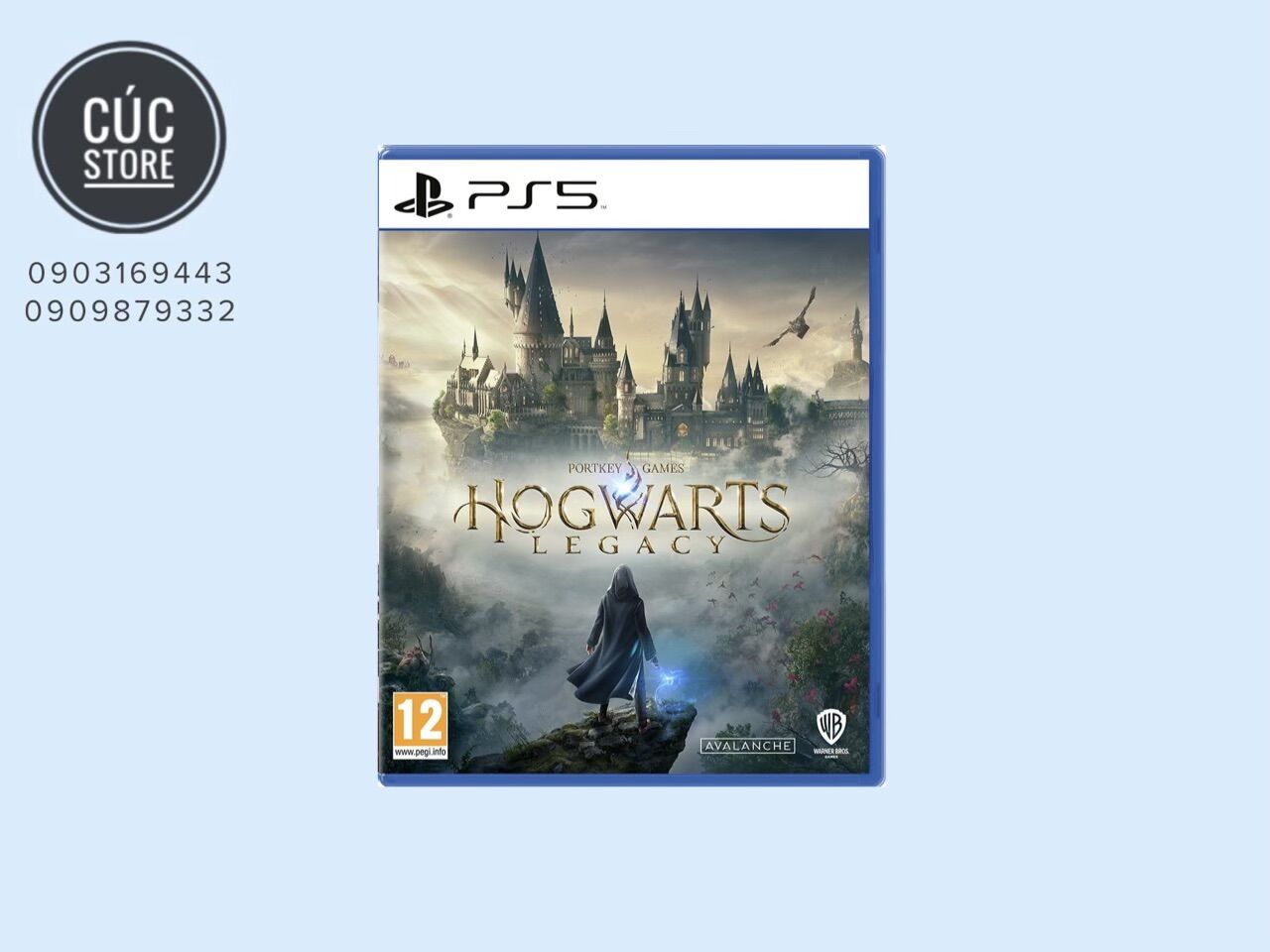 Ps5 game disc: Viking legacy