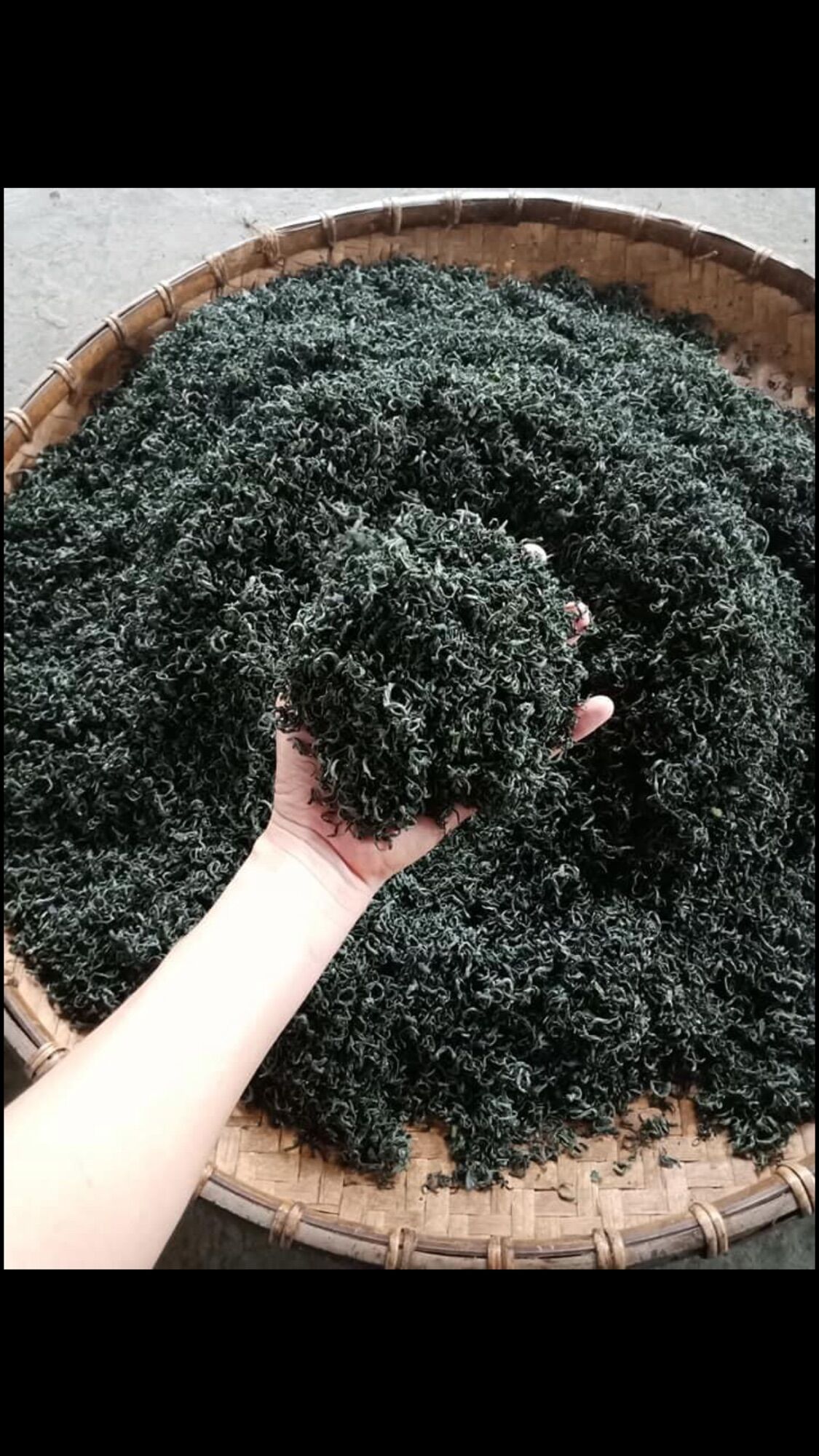 Trà nõn tôm thái nguyên túi 500g