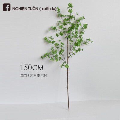 CÀNH THẠCH NAM NHẬT BẢN