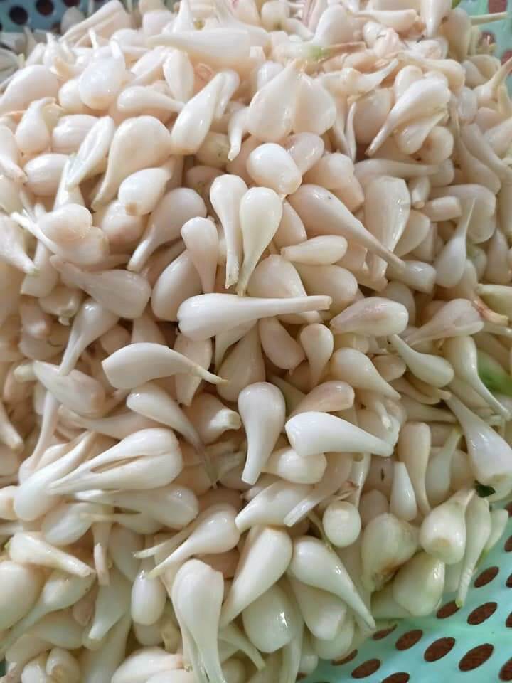 KIỆU NGÂM MẮM - 55K/ hủ 500gr.