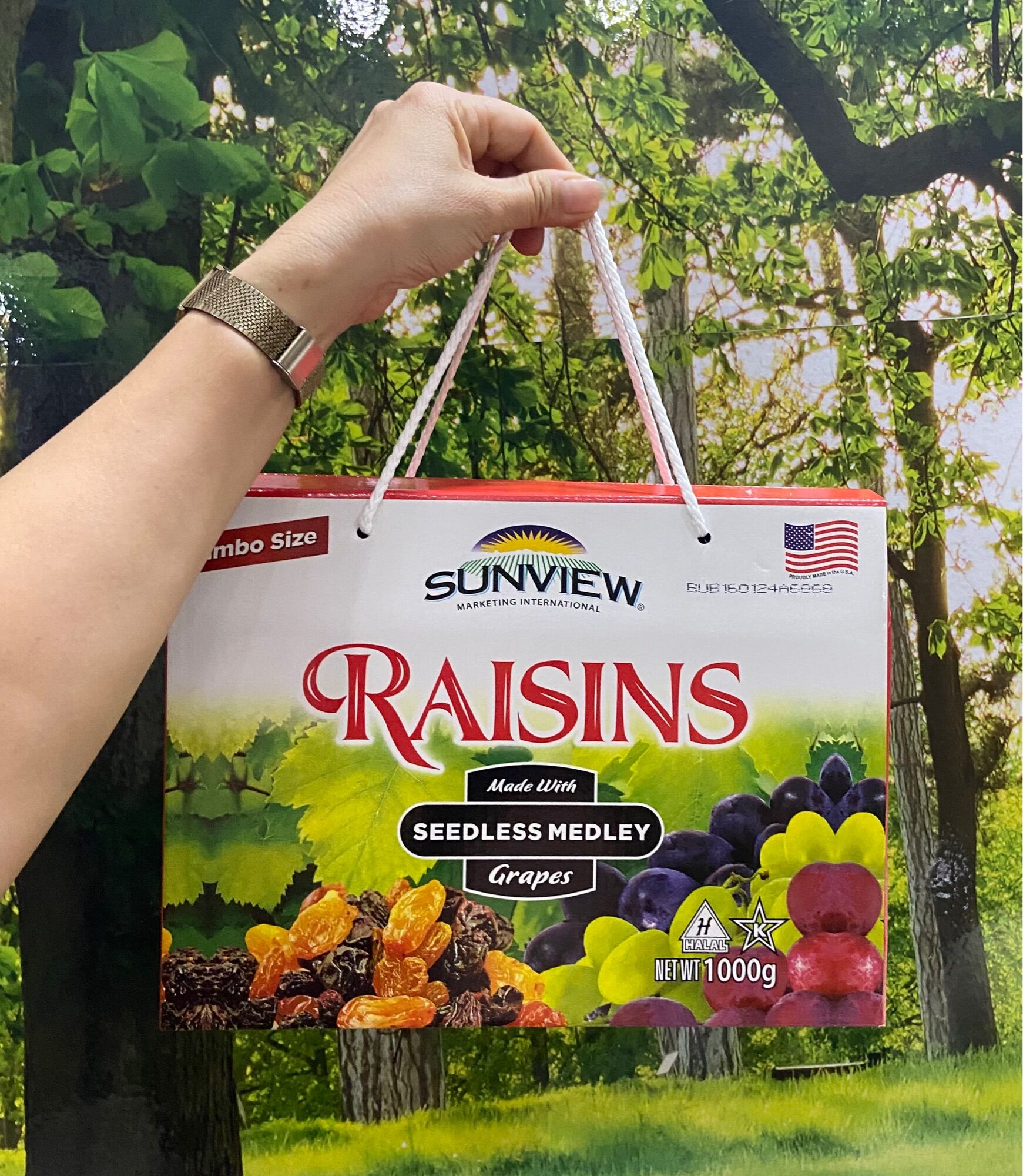 Nho Khô Raisins Hộp 1kg