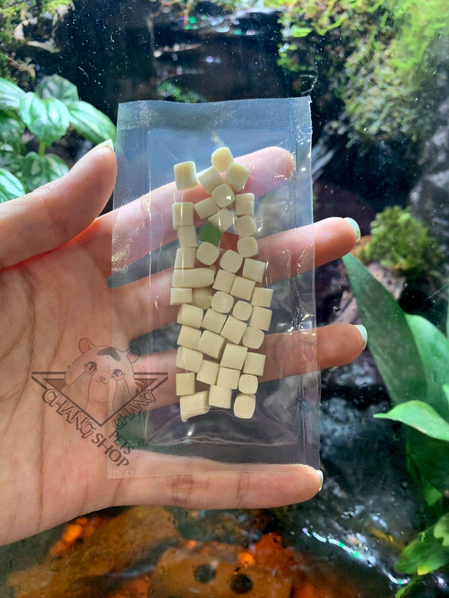 [HCM][Buffet3k] Gum sạch răng dành cho hamster