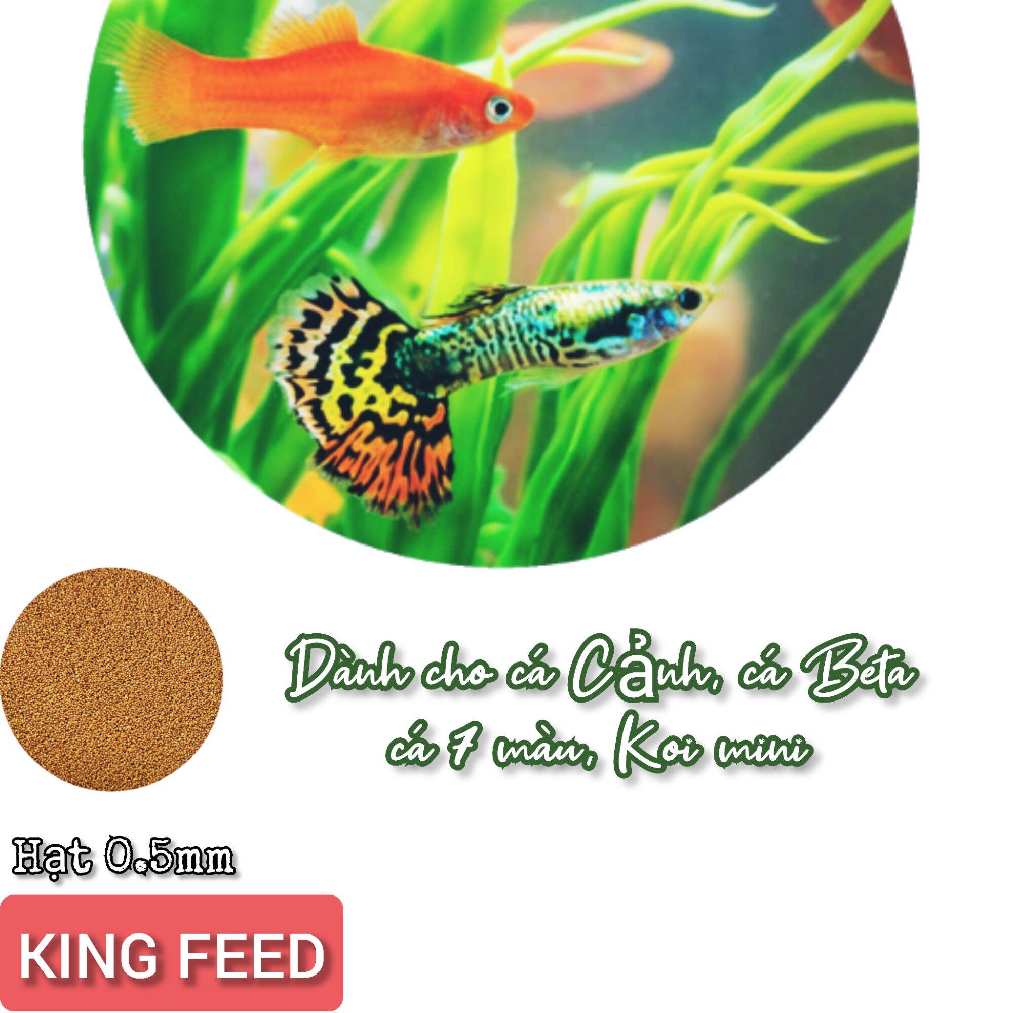 1kg cám cá Koi King feed 42% đạm