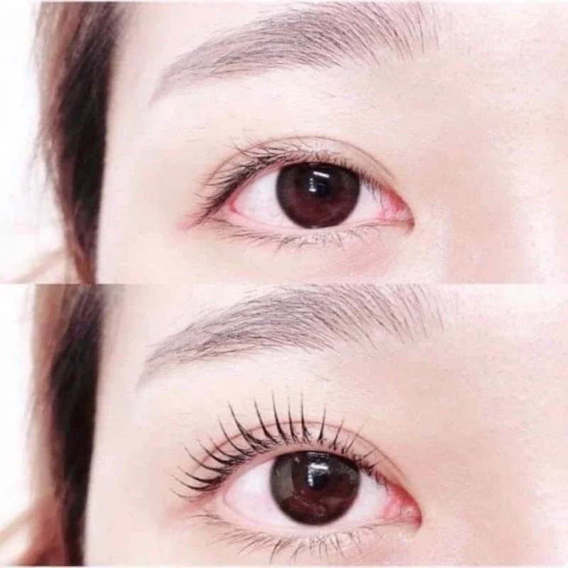 [Chính hãng] Bấm mi Shiseido Eyelash Curler 213