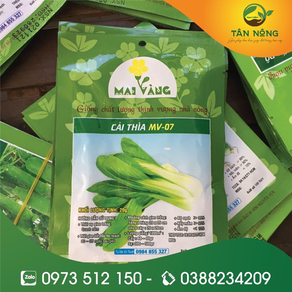Hạt giống cải thìa 20g