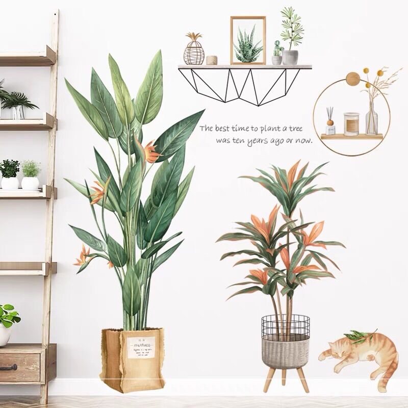 Decal dán tường 2 chậu cây và mèo.