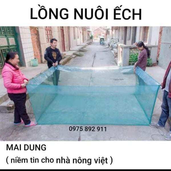 Lồng nuôi ếch nhái lưới thái 3x2x0,8v20