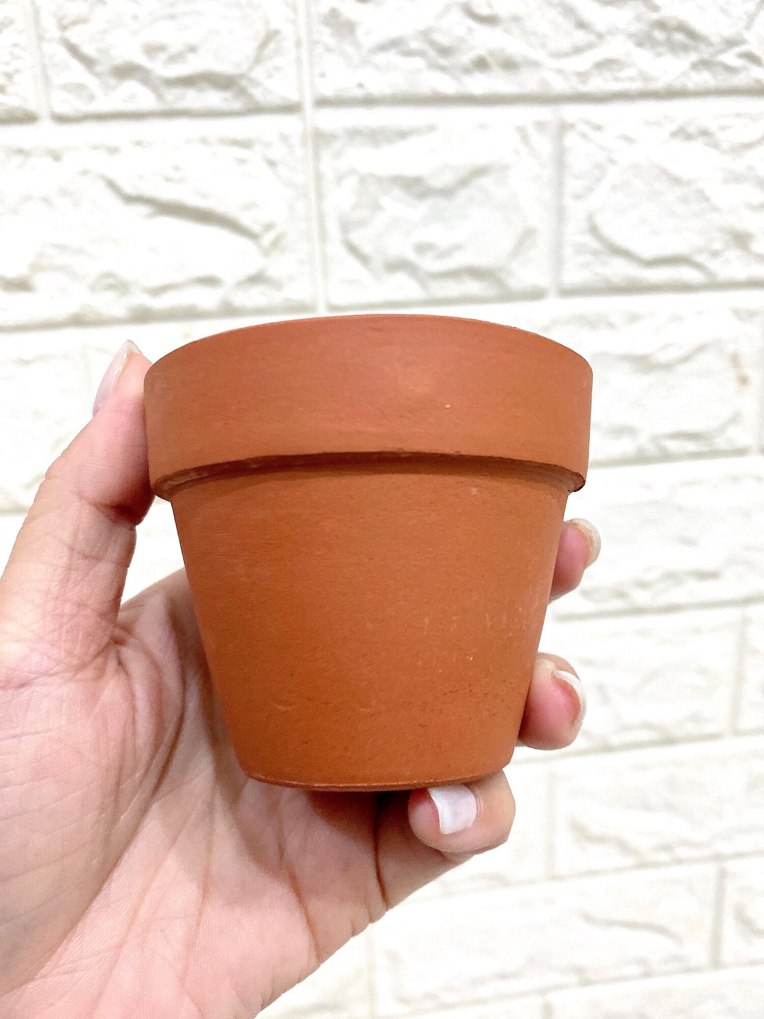 Chậu đất nung size 7cm x 6cm