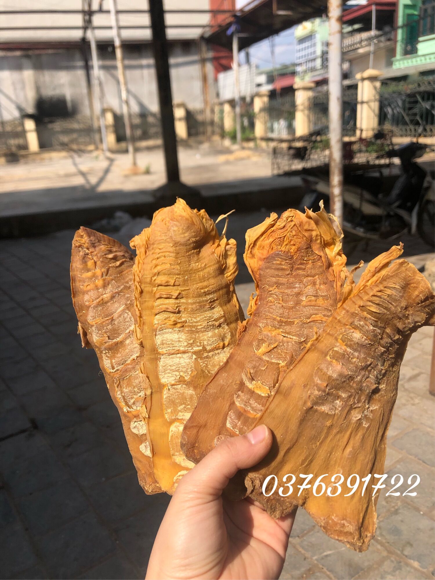 1kg Măng củ Điện Biên hàng đặc biệt ( ảnh thật không chỉnh sửa)