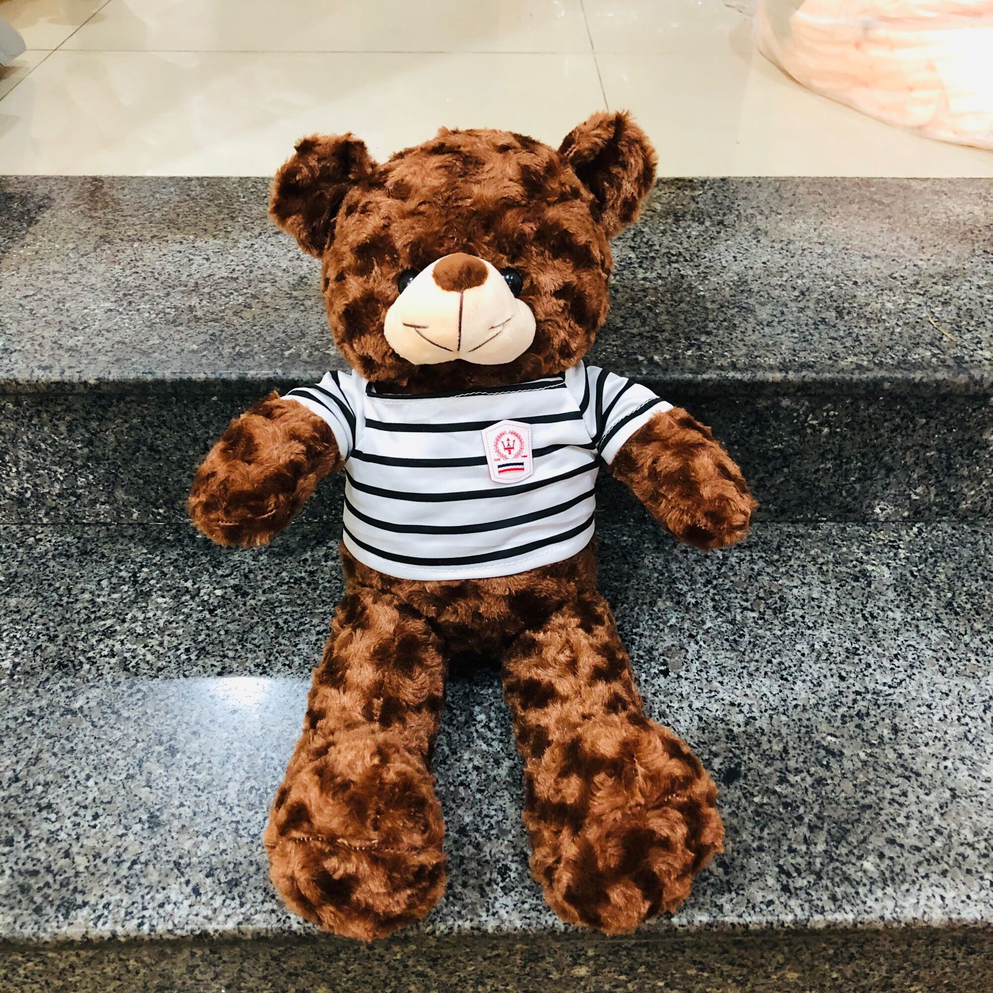 Gấu bông Teddy cao cấp cao 50cm