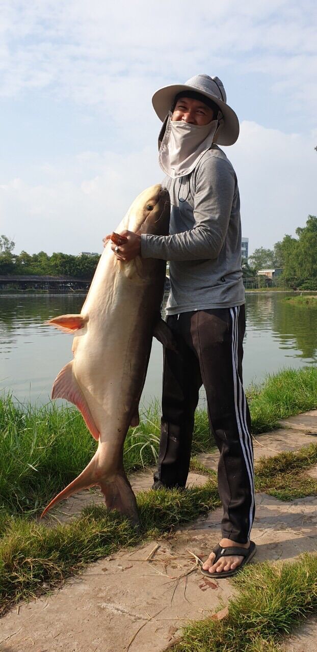 Lưỡi Câu Cá Số 13 ( Một Hộp )