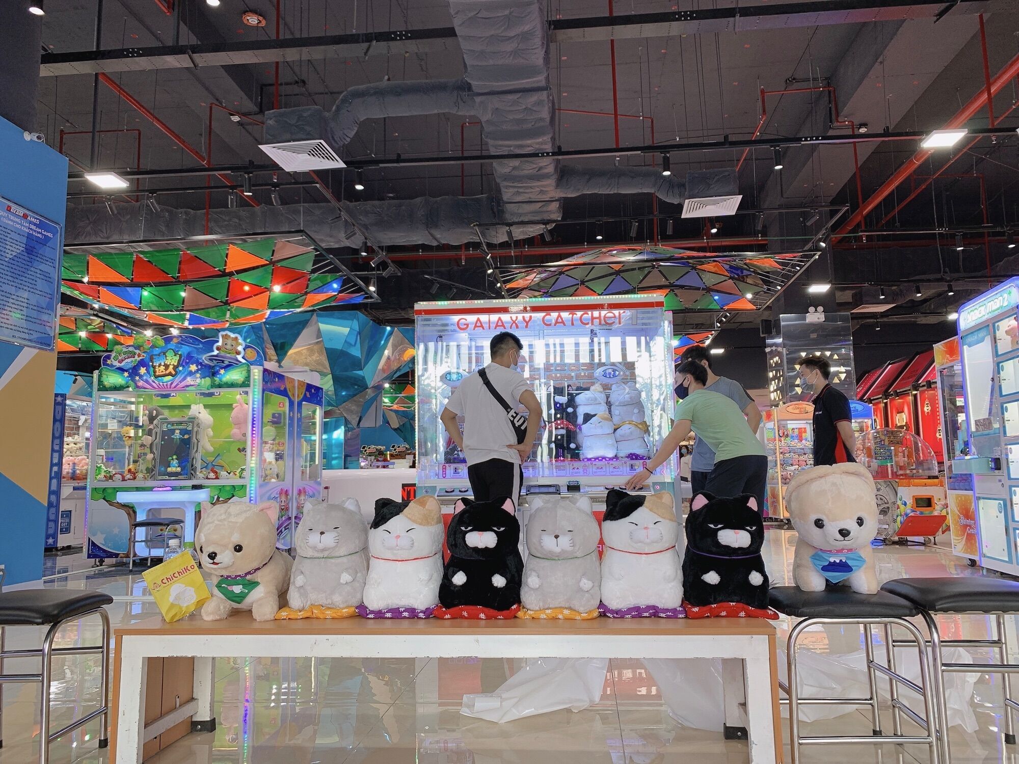 Gấu bông Mèo thảm Amuse Nhật bản Big size ✅
