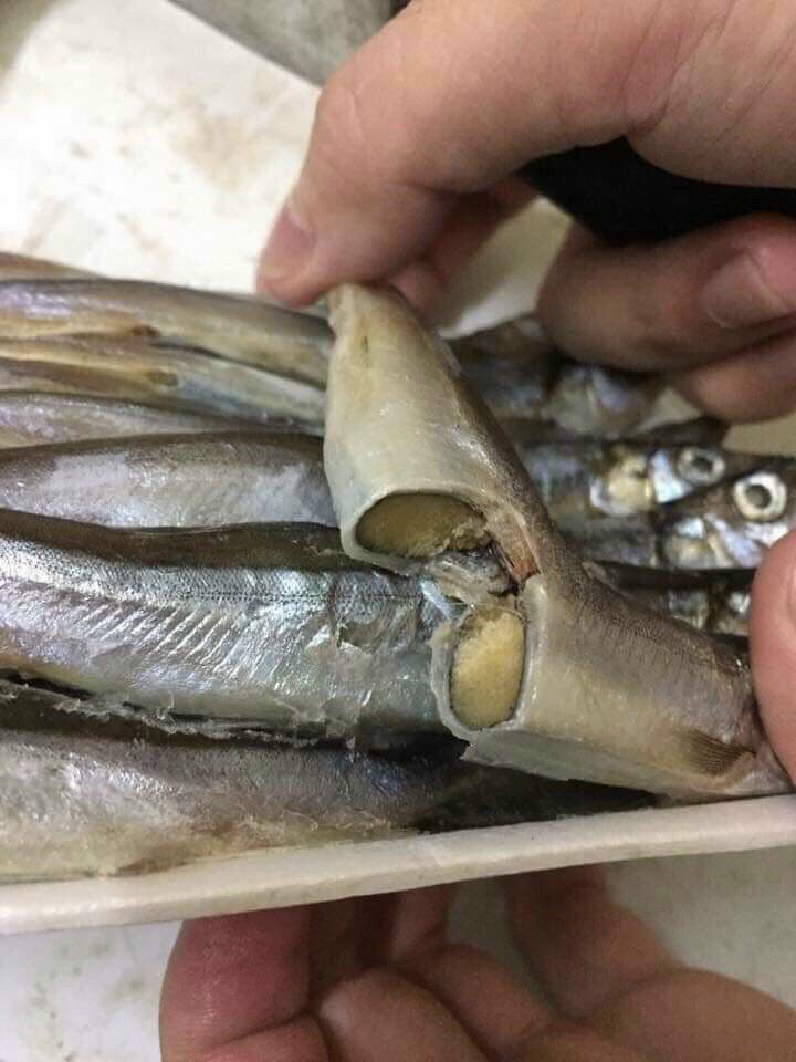 0,5kg Cá siêu trứng Nauy (hàng đủ nét, hỏa tốc 2h Tphcm)