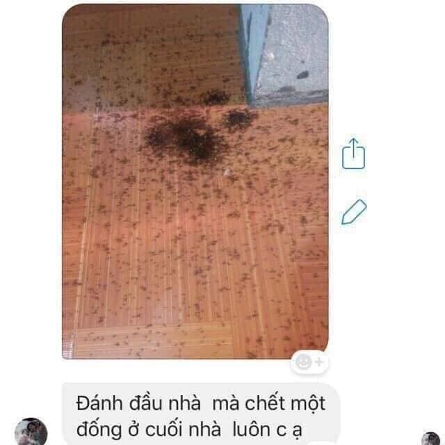 Dung dịch Diệt Kiến Sinh Học