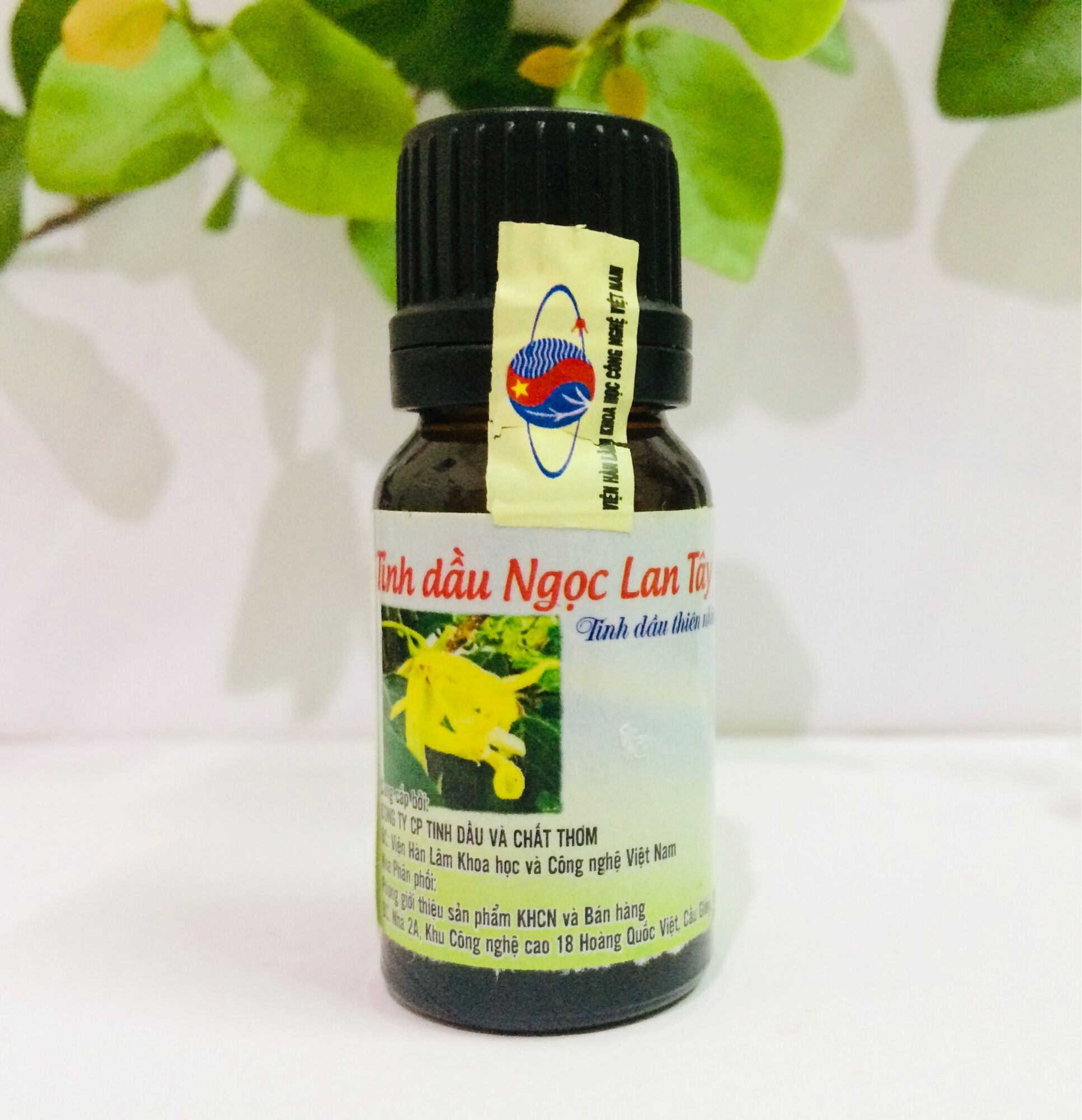 Tinh dầu Ngọc lan tây nguyên chất đậm đặc cao cấp chuẩn Viện Hàn lâm KH&CN Việt Nam