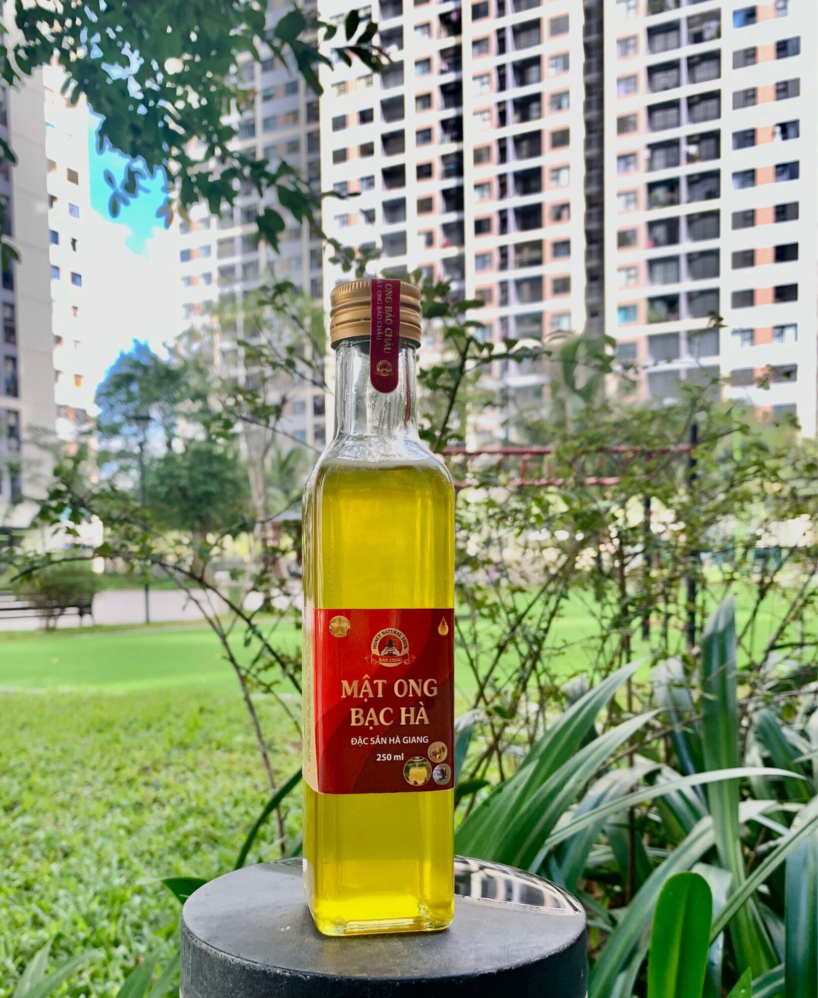 Mật ong