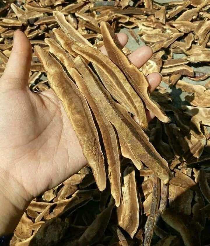 50k/200g nấm linh chi thái lát nguyên chất hàng chuẩn tự nhiên