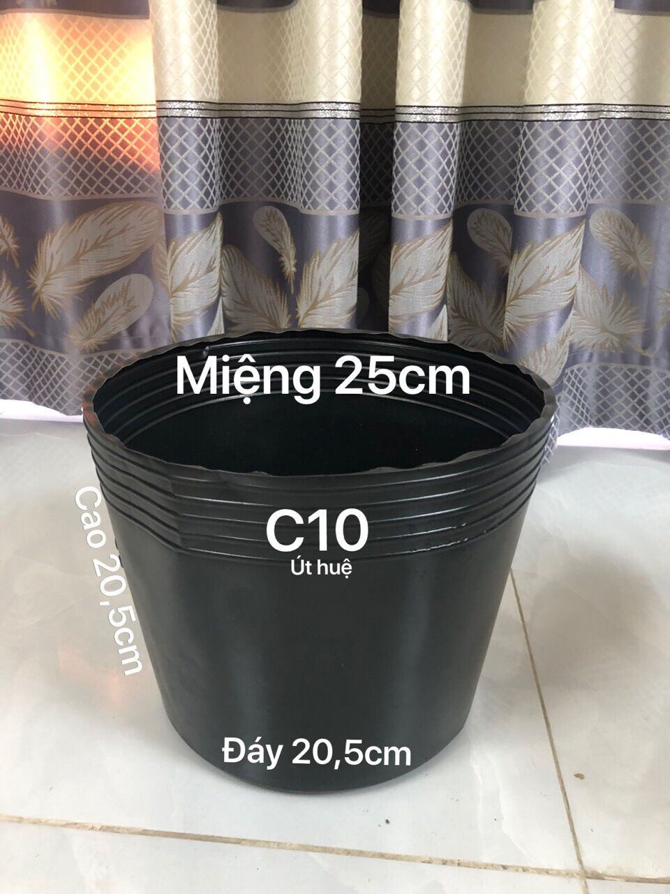 Chậu nhựa trồng cây 50 cái C10 đen bóng dẻo dày dặn
