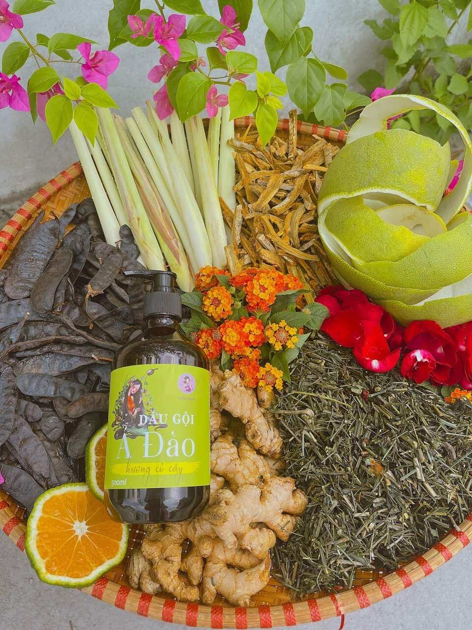 Dầu Gội Bồ Kết Thảo Dược Ả Đào Mộc Nhan Natural