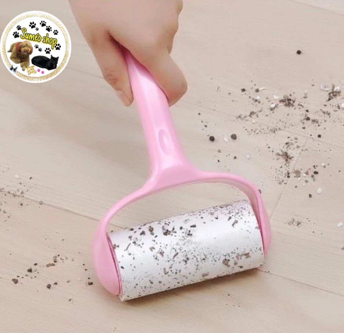 CÂY LĂN LÔNG CHÓ MÈO SIÊU SẠCH