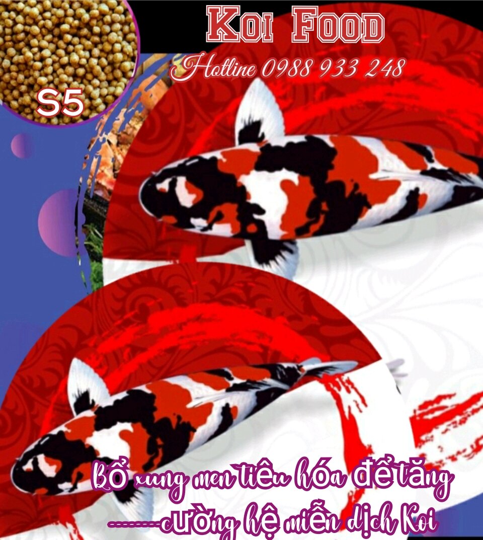 Thức ăn cao cấp KOI STELLA S5 dành cho cá KOI, cá Cảnh/1kg