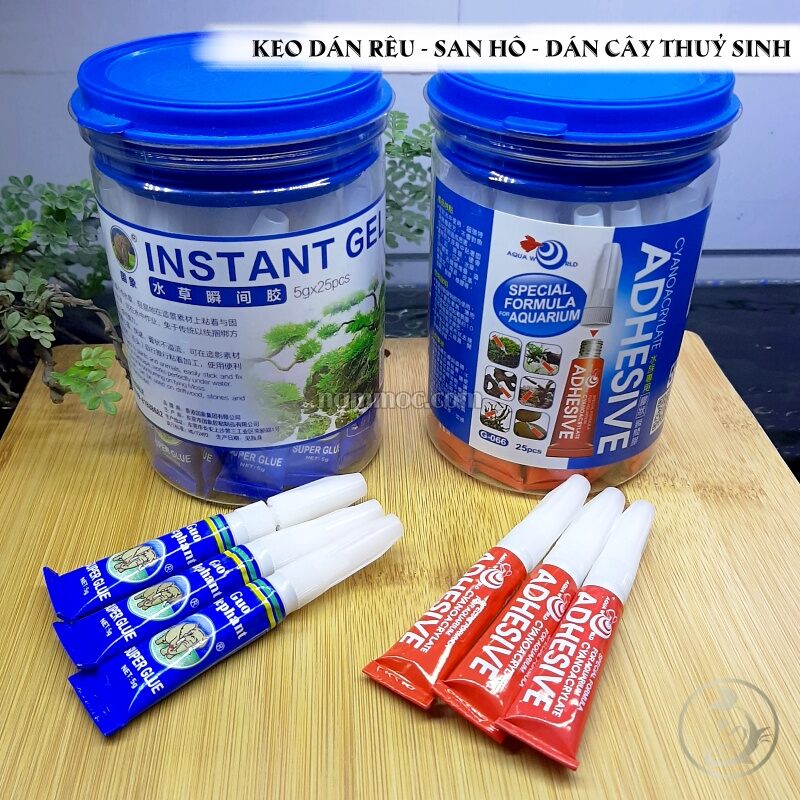Keo dán rêu, dán lũa, dán đá trong bể thủy sinh