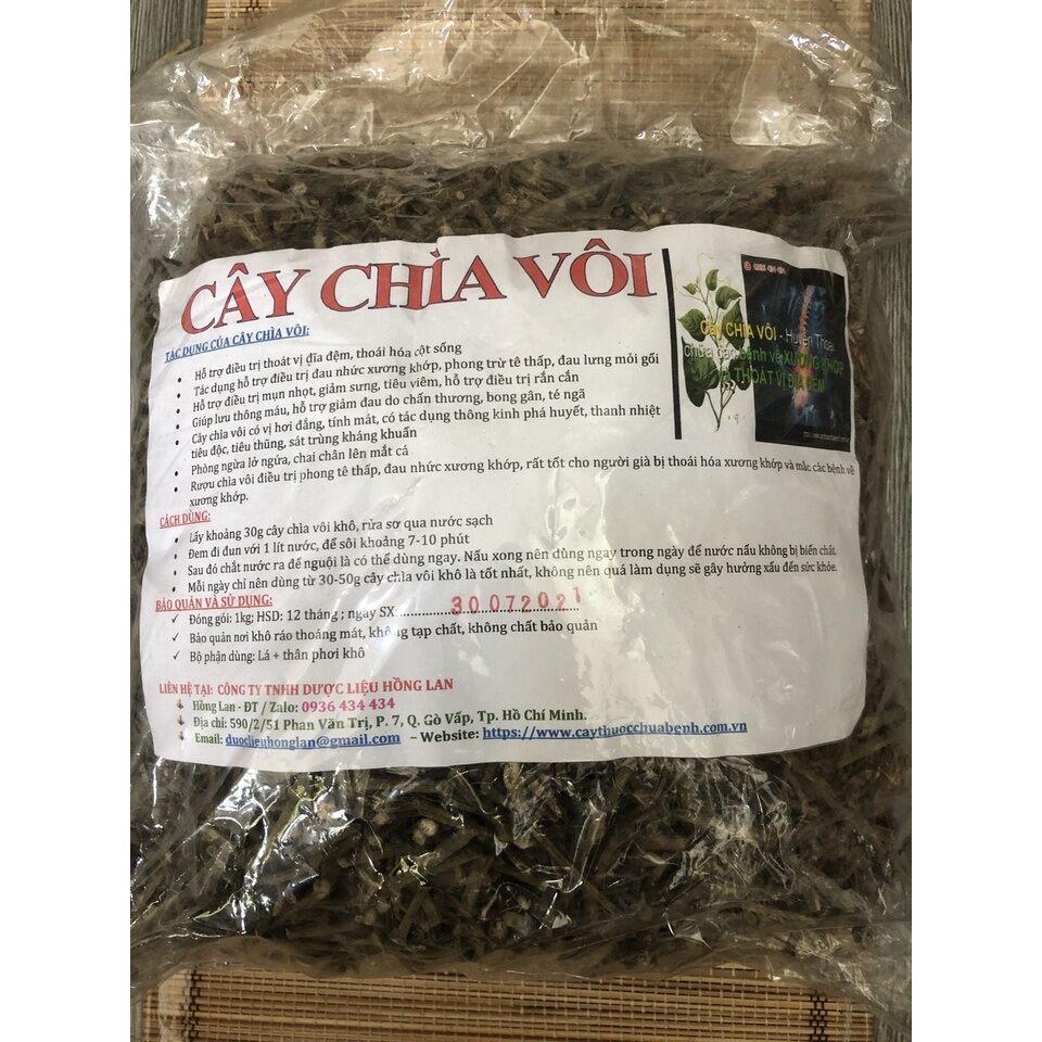 500g cây chìa vôi