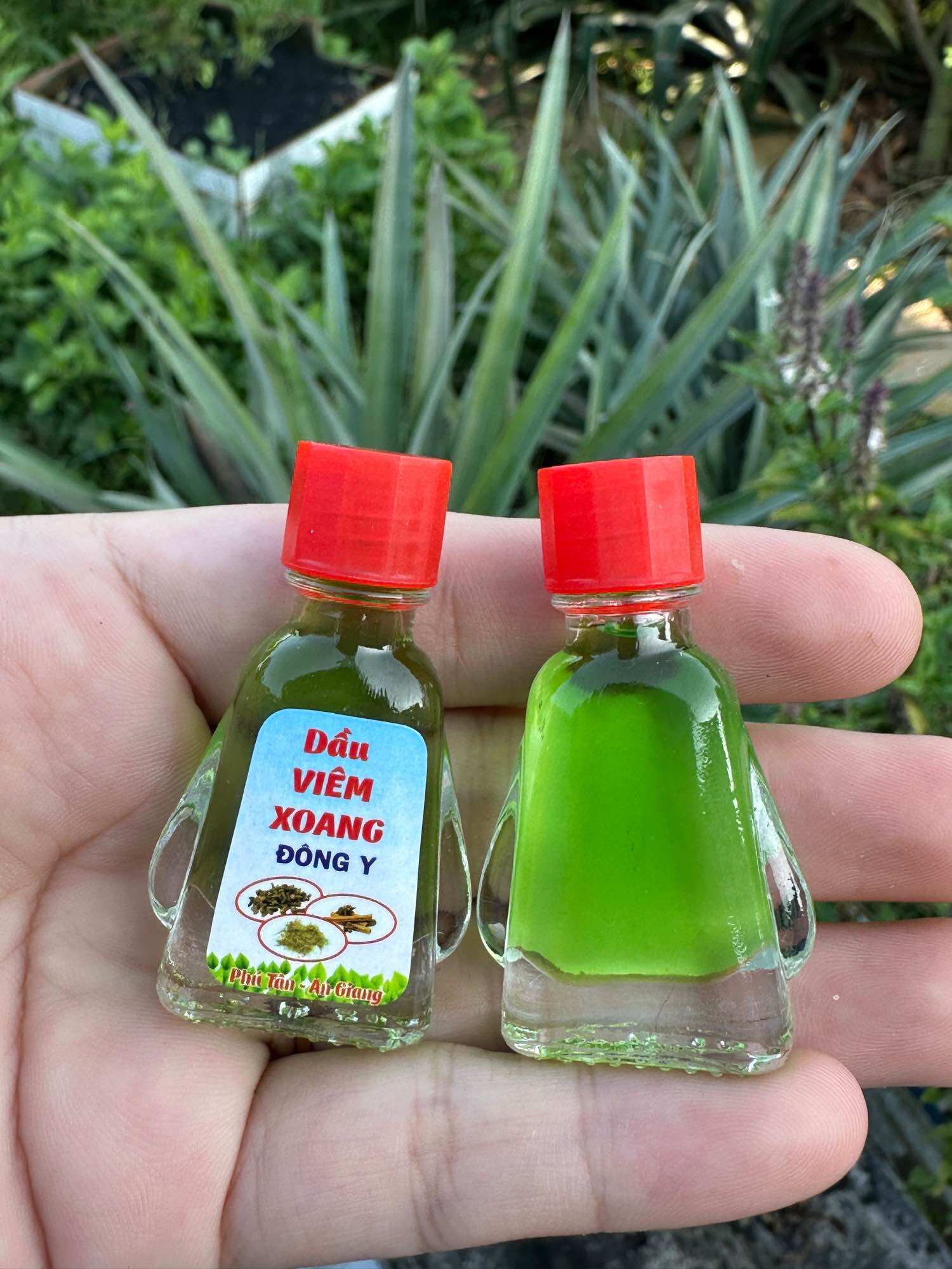 DẦU VIEM XOANG nước xanh chai 3ml ( nóng , cay , mùi thơm dịu )