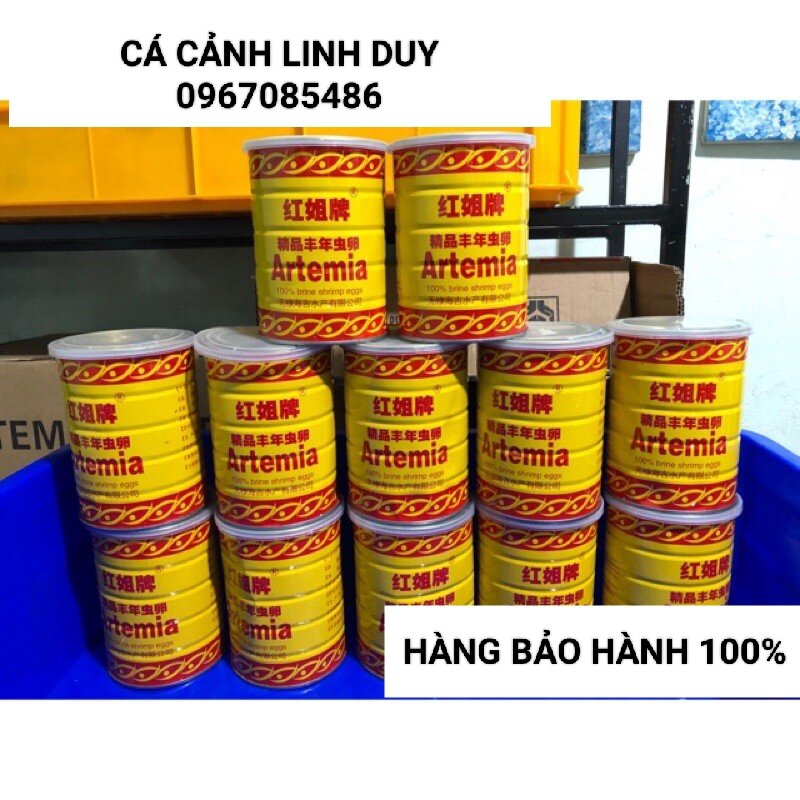 Atermia lon vàng artermia ấp nở cho cá 7 màu , guppy và betta